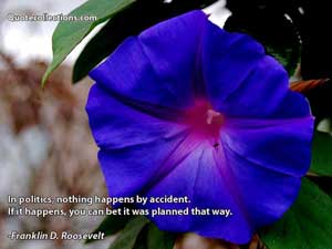 Franklin D. Roosevelt Quotes 2